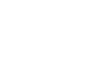 the_resonant_horse_large_logo