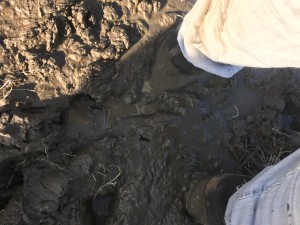 Boots in mud #2